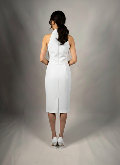 Langes Abendkleid mit Halterneck-Ausschnitt E359